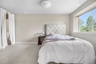 6635 Tremolite Dr, Castle Rock, CO 80108 - Photo 39