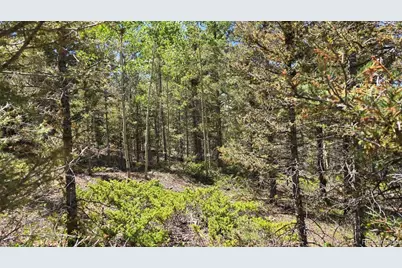 Lot 6804 Ryland Road, San Luis, CO 81152 - Photo 11