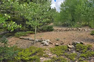 Lot 6804 Ryland Rd, San Luis, CO 81152 - Photo 1