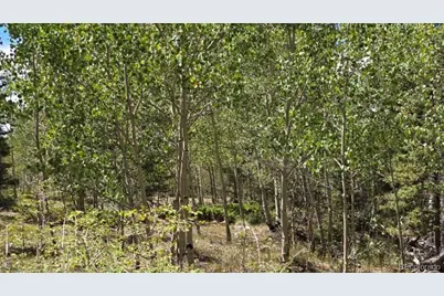 Lot 6804 Ryland Road, San Luis, CO 81152 - Photo 9