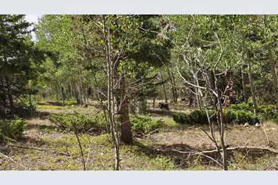 Lot 6804 Ryland Road, San Luis, CO 81152 - Photo 15