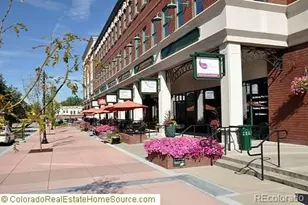 10912 Clifford Ct, Parker, CO 80134 - Photo 39