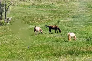 9151 Sun Country Dr, Elizabeth, CO 80107 - Photo 45