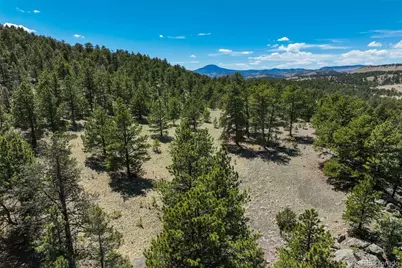 128 Nancy Ann Arroyo, Guffey, CO 80820 - Photo 31