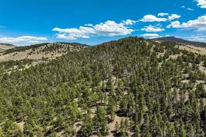 128 Nancy Ann Arroyo, Guffey, CO 80820 - Photo 23
