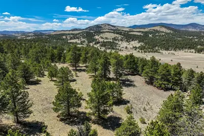 128 Nancy Ann Arroyo, Guffey, CO 80820 - Photo 13
