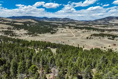 128 Nancy Ann Arroyo, Guffey, CO 80820 - Photo 29