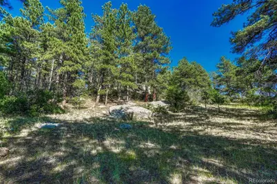 10345 Little Moon Trail, Elbert, CO 80106 - Photo 39