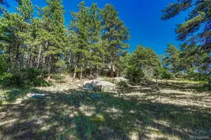 10345 Little Moon Trail, Elbert, CO 80106 - Photo 39