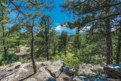 10345 Little Moon Trail, Elbert, CO 80106 - Photo 13