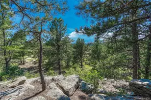 10345 Little Moon Trail, Elbert, CO 80106 - Photo 13