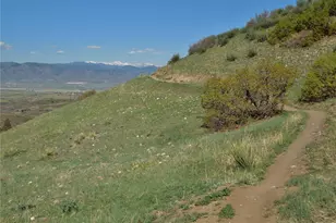 4 Flowerburst Way, Highlands Ranch, CO 80126 - Photo 49