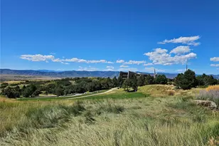 4 Flowerburst Way, Highlands Ranch, CO 80126 - Photo 39