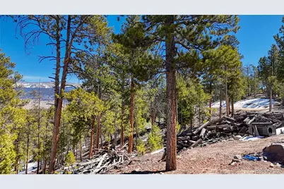 1335 Sequoia Drive, Leadville, CO 80461 - Photo 21