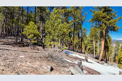 1335 Sequoia Drive, Leadville, CO 80461 - Photo 7