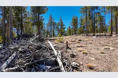 1335 Sequoia Drive, Leadville, CO 80461 - Photo 9