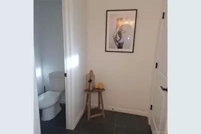 7958 Adams Fork Avenue, Littleton, CO 80125 - Photo 23