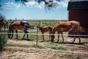 21525 Elk Meadows Cir, Elbert, CO 80106 - Photo 47