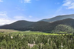 84 Marys Ln, Bailey, CO 80421 - Photo 31