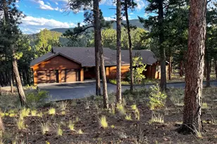 84 Marys Ln, Bailey, CO 80421 - Photo 3