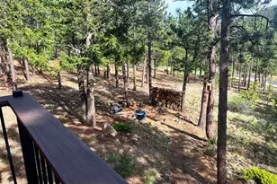 84 Marys Ln, Bailey, CO 80421 - Photo 27