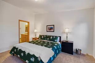 593 Lamb Mountain Rd, Fairplay, CO 80440 - Photo 17