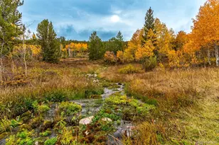 593 Lamb Mountain Rd, Fairplay, CO 80440 - Photo 43