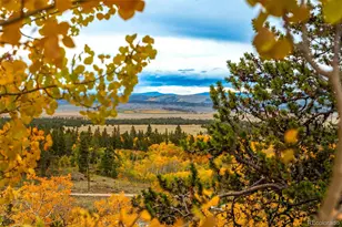 593 Lamb Mountain Rd, Fairplay, CO 80440 - Photo 47