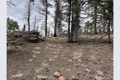 Lot 513 Leslie Loop, Fort Garland, CO 81133 - Photo 19