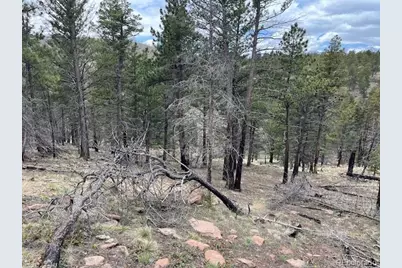 Lot 513 Leslie Loop, Fort Garland, CO 81133 - Photo 9