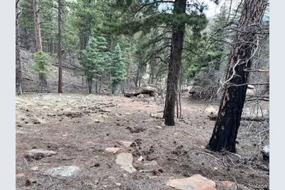 Lot 513 Leslie Loop, Fort Garland, CO 81133 - Photo 15