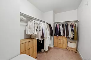 5138 Blue Lunar Ln, Castle Rock, CO 80104 - Photo 23