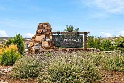 5138 Blue Lunar Lane, Castle Rock, CO 80104 - Photo 37