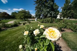 1260 York St, Denver, CO 80206 - Photo 21