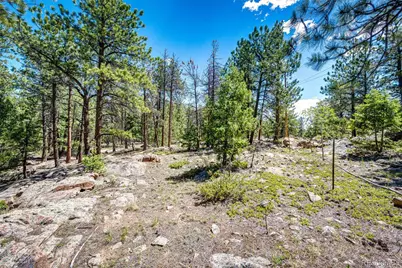 S Wandcrest Drive, Pine, CO 80470 - Photo 7