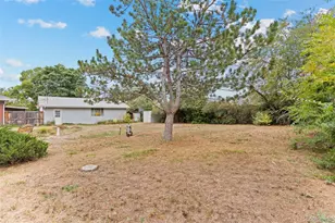11349 Marion St, Northglenn, CO 80233 - Photo 35