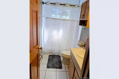 1418 Rose Street, Georgetown, CO 80444 - Photo 33