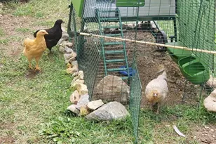 1418 Rose St, Georgetown, CO 80444 - Photo 19