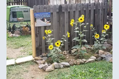 1418 Rose Street, Georgetown, CO 80444 - Photo 21