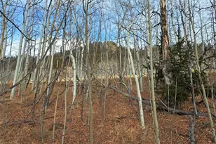 503 Sugar Loaf Ln, Jefferson, CO 80456 - Photo 1