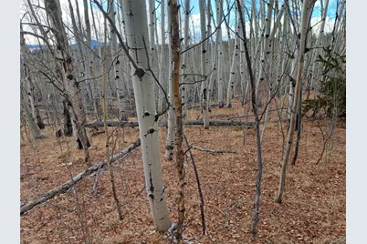 503 Sugar Loaf Lane, Jefferson, CO 80456 - Photo 9