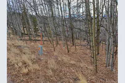 503 Sugar Loaf Lane, Jefferson, CO 80456 - Photo 11