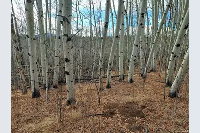 503 Sugar Loaf Lane, Jefferson, CO 80456 - Photo 5