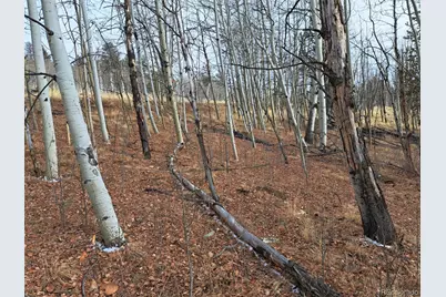 503 Sugar Loaf Lane, Jefferson, CO 80456 - Photo 3