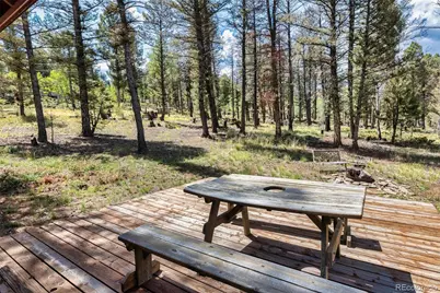 1807 Windmill Drive, Hartsel, CO 80449 - Photo 35