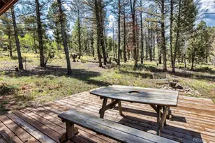 1807 Windmill Dr, Hartsel, CO 80449 - Photo 35