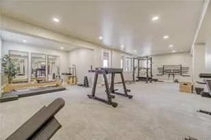 10491 North Sky Dr, Lone Tree, CO 80124 - Photo 27