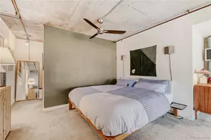 1050 Cherokee St, Denver, CO 80204 - Photo 13