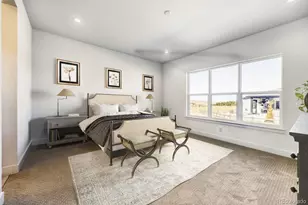 684 Leafy Aster Ln, Castle Rock, CO 80104 - Photo 9