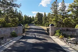1371 Grayhawk Pl, Larkspur, CO 80118 - Photo 3